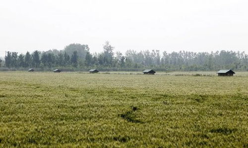 基建受阻，農(nóng)業(yè)科技開(kāi)發(fā)或?qū)⒚媾R變數(shù)