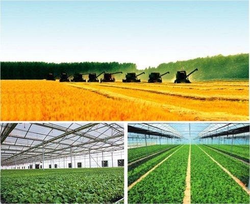 農(nóng)業(yè)新引擎 技術(shù)驅(qū)動下的河南農(nóng)業(yè)超越之路